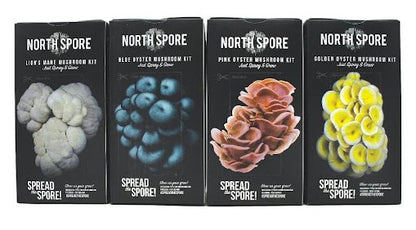 North Spore Golden Oyster 'Spray & Grow' Mushroom Growing Kit