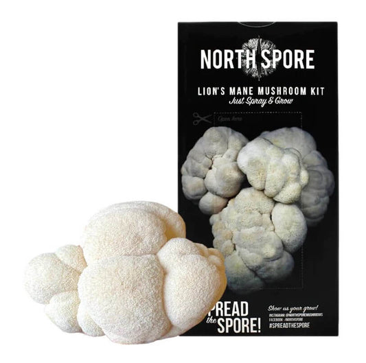 North Spore Lion's Mane Spray & Grow Mushroom Cultivation Kit