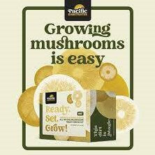 Pacific Substrates Exclusive - mushroom grow kit