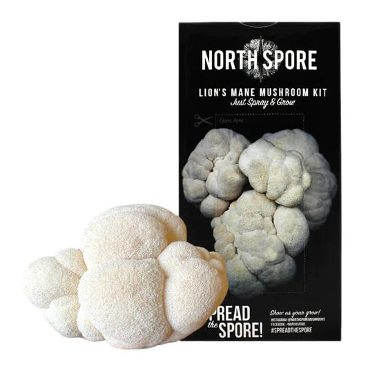 North Spore Gourmet 2-Block Special