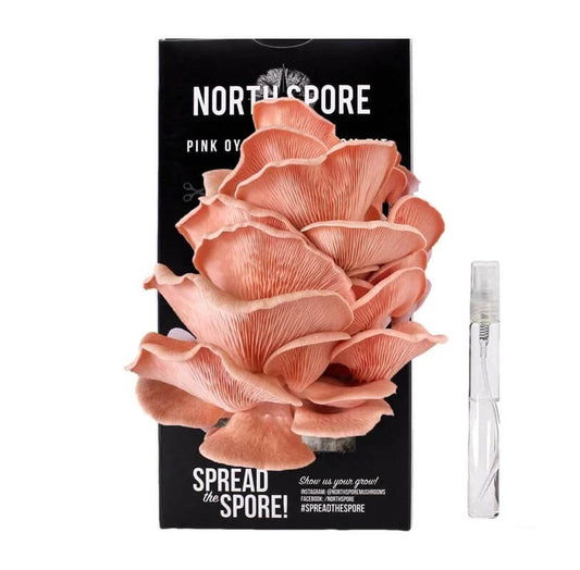 North Spore Pink Oyster 'Spray & Grow' Mushroom Growing Kit